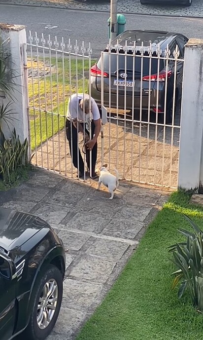 Ele chamou a atenção ao ter reação inesperada com o homem que o levou para passear.