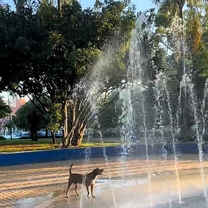 Ele fica muito feliz com os jatos. 
