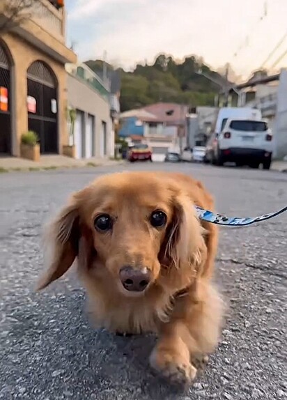 Hoje, Mareley vive como um rei!