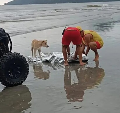 Scooby ficou o tempo todo ao lado do corpo de seu dono.