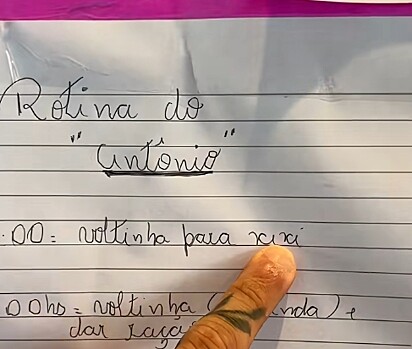 A rotina do poodle tem até horários. 