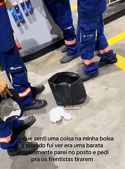 Leila ficou desesperada quando percebeu a barata dentro da sua bolsa.