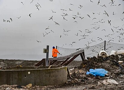 O problema começou após a expansão de um aterro sanitário próximo à vila.