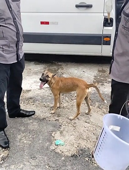 Fênico Graxa foi contratado para o admistrativo, mas foi visto trabalhando na jardinagem.