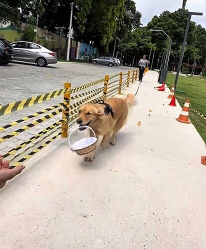 Ele estava indo muito bem no treinamento.