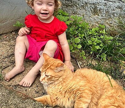 O gatinho se adaptou facilmente com os filhos de Beatriz.