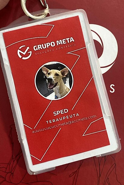 O cão foi promovido a terapeuta.