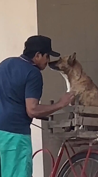 Ao retornar, o homem recompensou o cãozinho pelo seu bom comportamento.