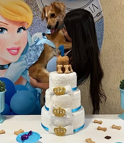 A caramelo ganhou uma vida de princesa.