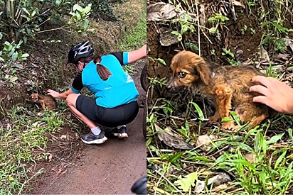 Durante trilha, ciclistas mudam suas vidas para sempre ao encontrar cachorrinha encolhida em estrada.