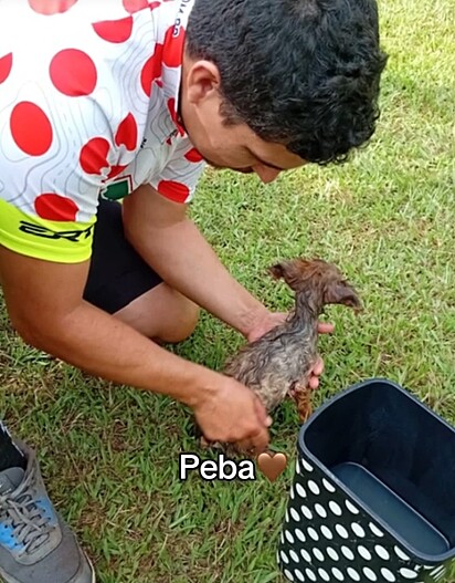 O primeiro banho da cachorrinha.