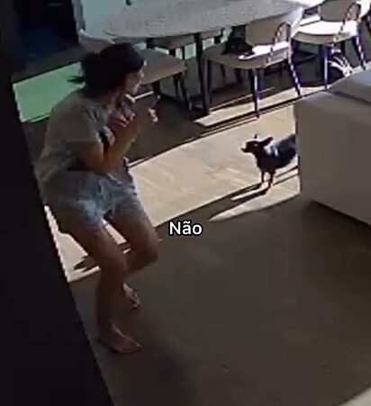 Allana abandona o liquidificador e corre até a cadelinha em completo desespero. A cena é fofa.