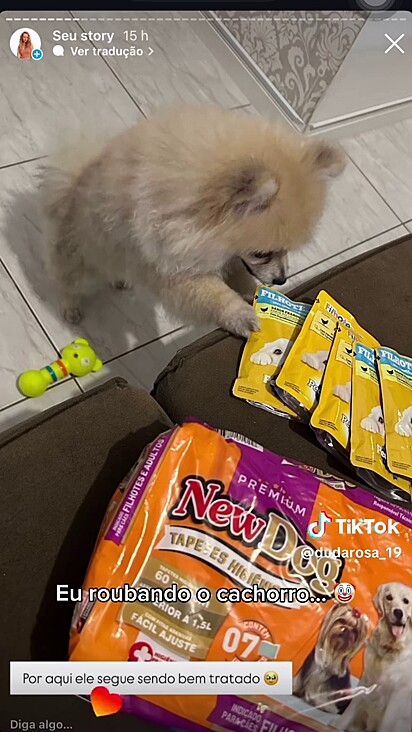 O cachorrinho ganhou tapete higiênico e sachê.