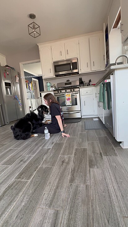 Com lealdade e treinamento, Bailey permanece ao lado de Katie até que ela recupere a consciência.