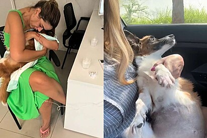 Moça aproveita os últimos momentos da cachorrinha para eternizá-la da maneira mais linda.