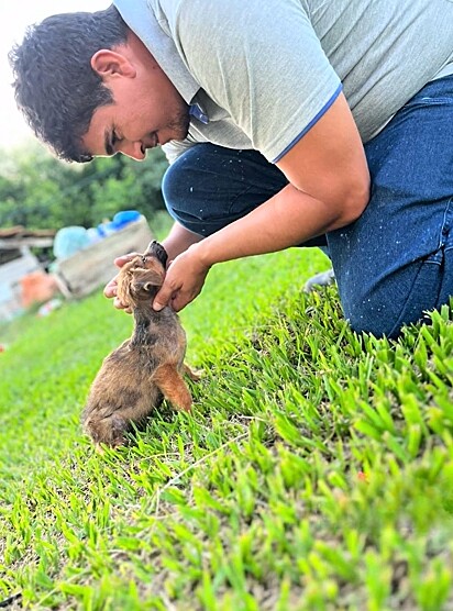 Além de salvar a vida da cachorrinha, o casal decidiu adotá-la.