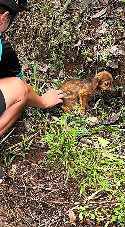 Um casal de cicilistas encontrou uma cachorrinha abandonada.