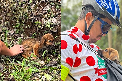 Cachorrinha olha nos olhos do ciclista que a salvou na estrada, sentindo que sua vida mudaria para sempre.