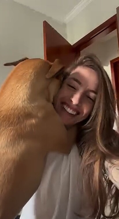 Todos os dias, o cão caramelo pede abraços.