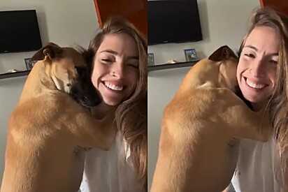 Dois anos depois da adoção, cão caramelo dá abraço carinhoso todos os dias para agradecer à tutora.