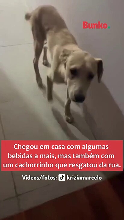 O pet se comportou muito bem.