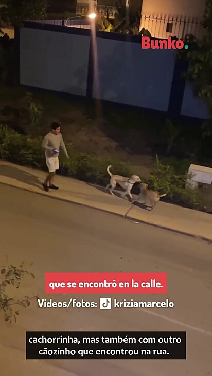 Gianfranco não conseguiu deixar o cão na rua.