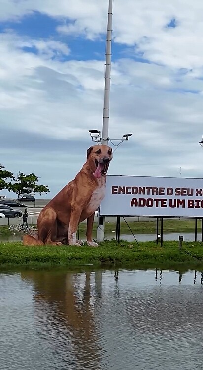 Ele ganhou até mesmo um outdoor com sua imagem.