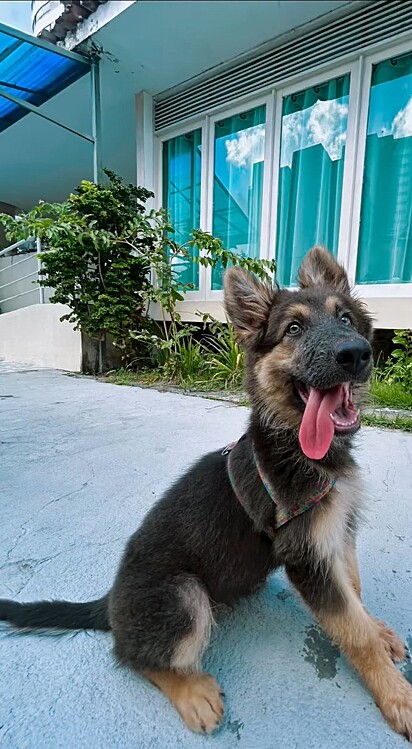 Agora, Luna é a neta preferida.