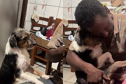 A filha adora ver a maneira como o pai cuida dos animais.