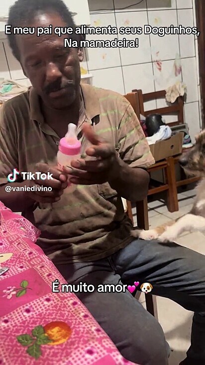 O tutor tem muito cuidado pelos pets.