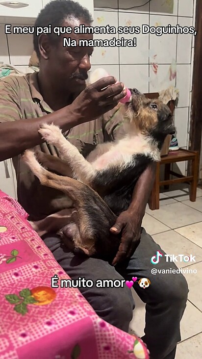 O cão adora a hora da mamadeira.