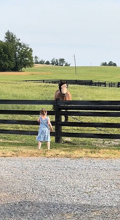 Uma mãe presenciou um momento tão espontâneo na propriedade da família em Maryland.