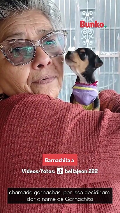 A cachorrinha foi adotada.