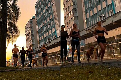 Vira-lata caramelo decide participar de vídeo improvisado de garotas.