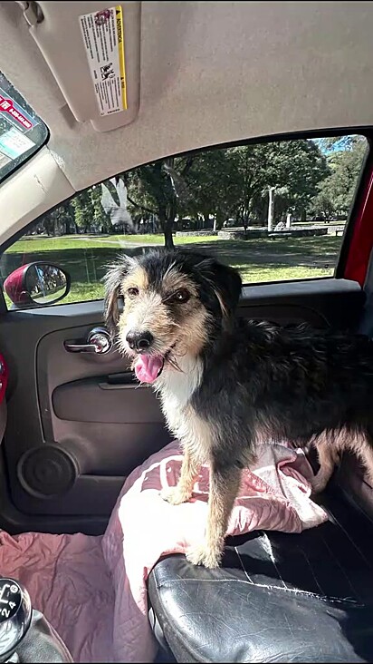 Zoe está muito feliz.