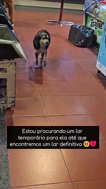 Zoe estava perdida na rodoviária.