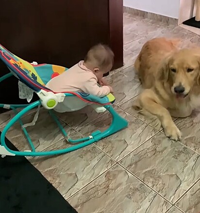 Leoana se tornou a protetora de sua irmã humana.