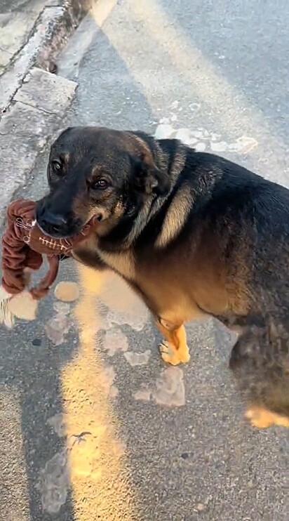 Fofa demais!
