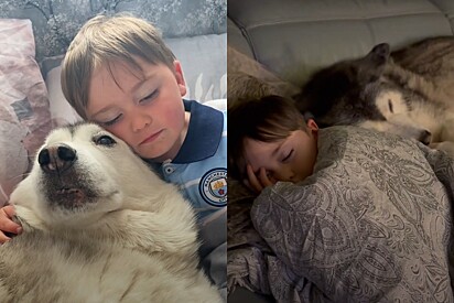 A família já sabia que o ciclo de Millie estava chegando ao fim.