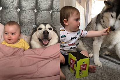 Eles eram inseparáveis.