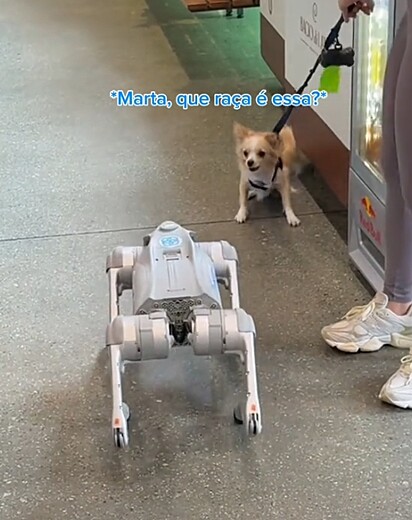 O cachorrinho ficou assustado com o robô.