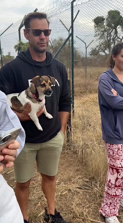 Um pequeno cachorro, com tamanho modesto mas atitude de gigante, encarou um leão do outro lado da cerca em um zoológico.