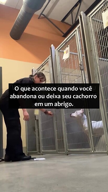 De acordo com alguns comentários ele foi adotado.