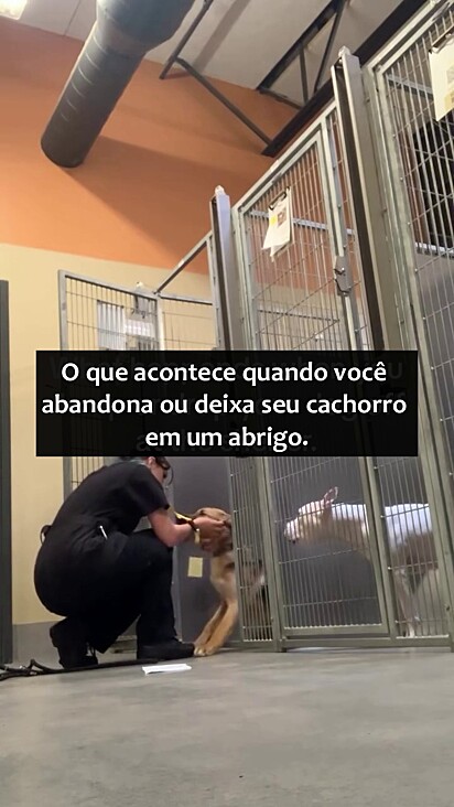 Ele não entendia o porquê estava naquele local.
