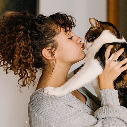 Se seu gato recua ao toque, isso pode ser um sinal de dor.