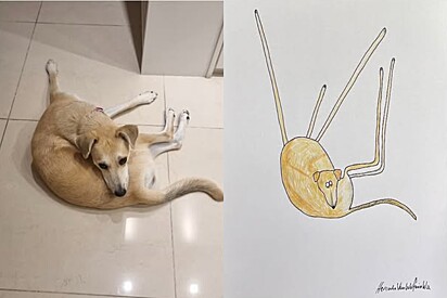 Homem faz retratos horríveis de animais de estimação e descobre que eles valem US$ 500 mil.