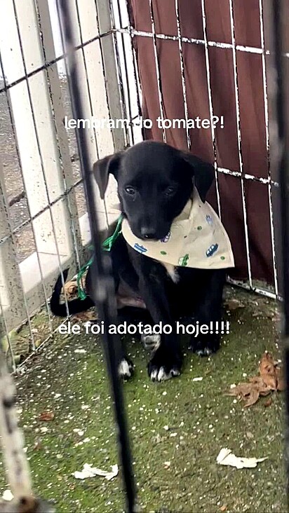 A família veio após alguns dias da feirinha.