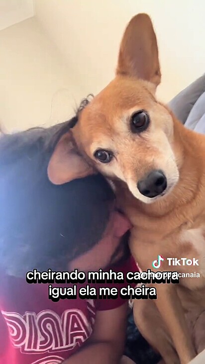 A caramelo não gostou de ser cheirada.