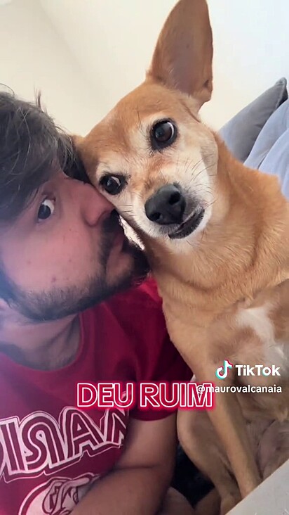 O tutor acabou se dando mal. 
