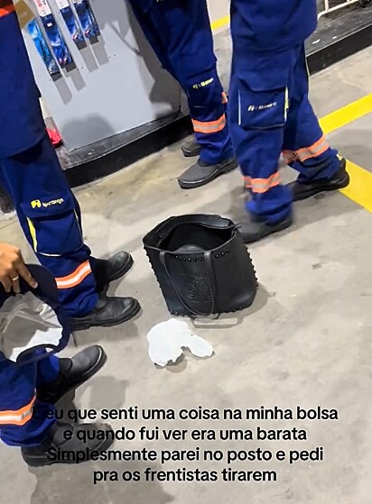Uma barata entrou na bolsa de Leila e ela parou em um posto de gasolina para pedir ajuda.